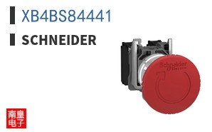 XB4BS84441