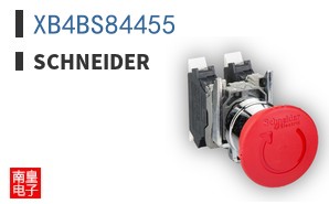 XB4BS84455