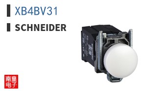 XB4BV31