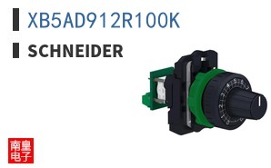 XB5AD912R100K