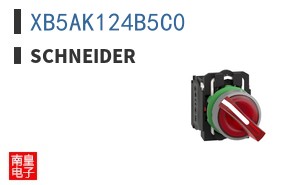 XB5AK124B5C0