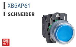 XB5AP61