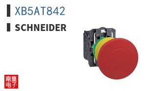 XB5AT842