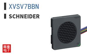 XVSV7BBN