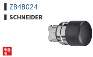 ZB4BC24