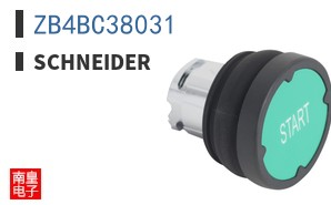 ZB4BC38031