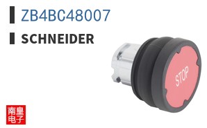 ZB4BC48007