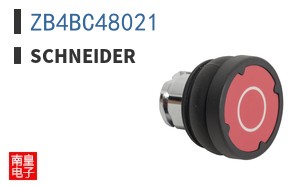 ZB4BC48021
