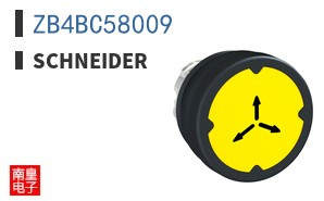 ZB4BC58009
