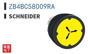ZB4BC58009RA