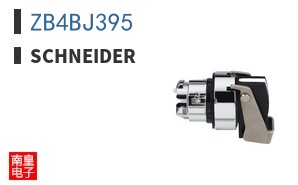 ZB4BJ395