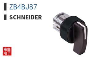 ZB4BJ87