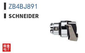 ZB4BJ891