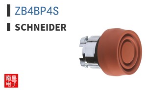 ZB4BP4S