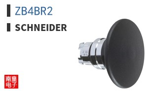 ZB4BR2