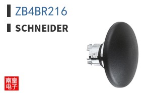 ZB4BR216