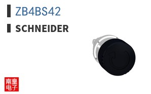 ZB4BS42