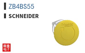 ZB4BS55