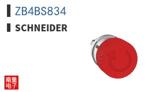 ZB4BS834