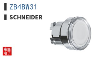 ZB4BW31