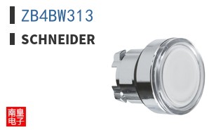 ZB4BW313