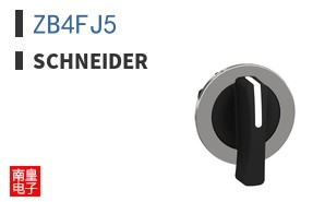 ZB4FJ5