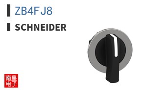 ZB4FJ8