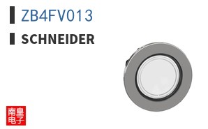 ZB4FV013