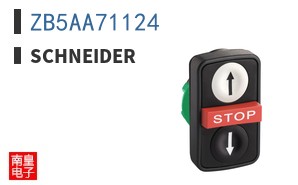 ZB5AA71124