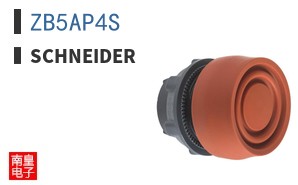 ZB5AP4S