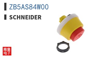 ZB5AS84W00