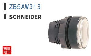 ZB5AW313