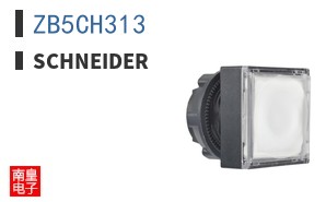 ZB5CH313