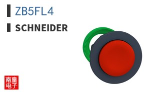 ZB5FL4