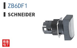 ZB6DF1