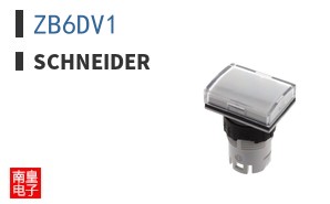 ZB6DV1