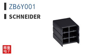 ZB6Y001
