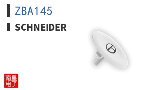 ZBA145