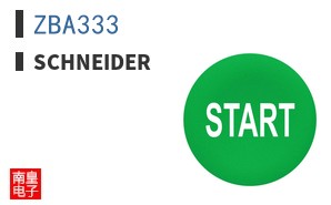 ZBA333