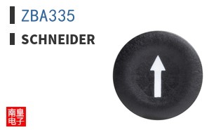 ZBA335