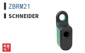 ZBRM21