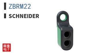 ZBRM22