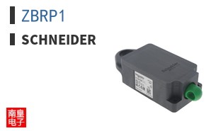 ZBRP1