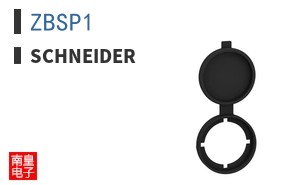 ZBSP1
