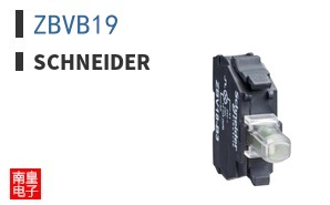 ZBVB19