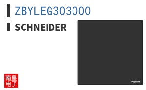 ZBYLEG303000