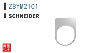 ZBYM2101