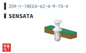 209-1-1REC4-62-4-9-70-V