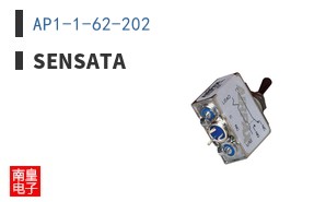 AP1-1-62-202