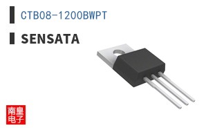 CTB08-1200BWPT